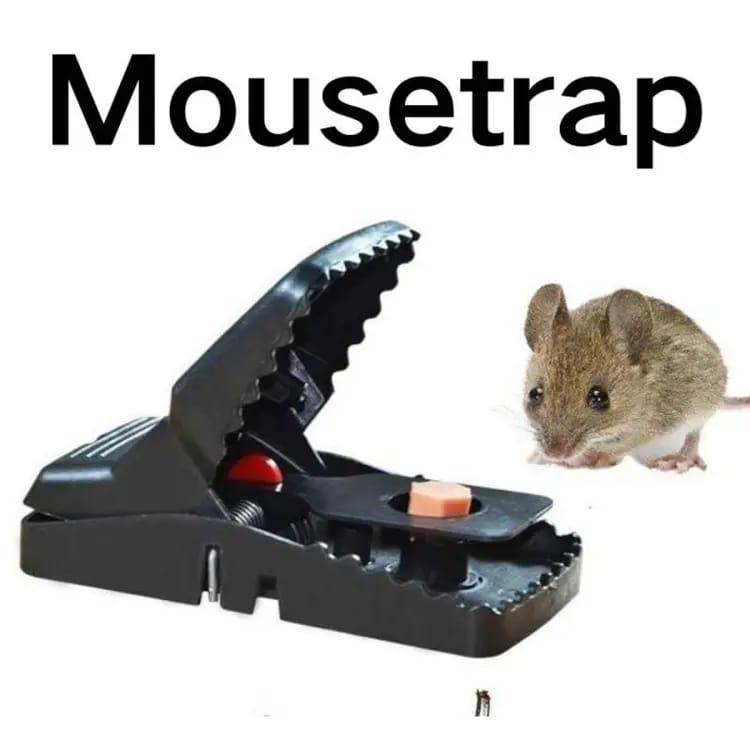 Heavy Duty Plastic Mouse Trap